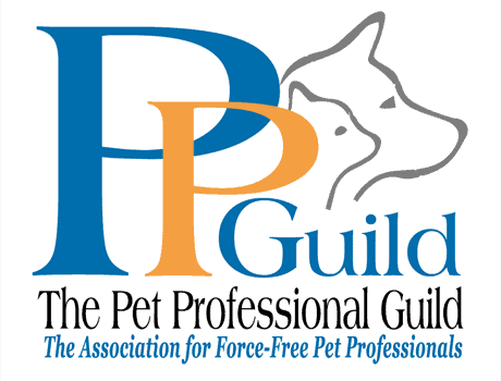 charlotte nc dog trainer charlotte nc dog trainer