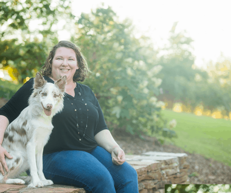 dog trainers charlotte nc