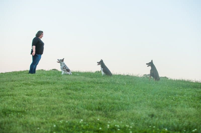 Fort Mill dog trainer Fort Mill dog trainer