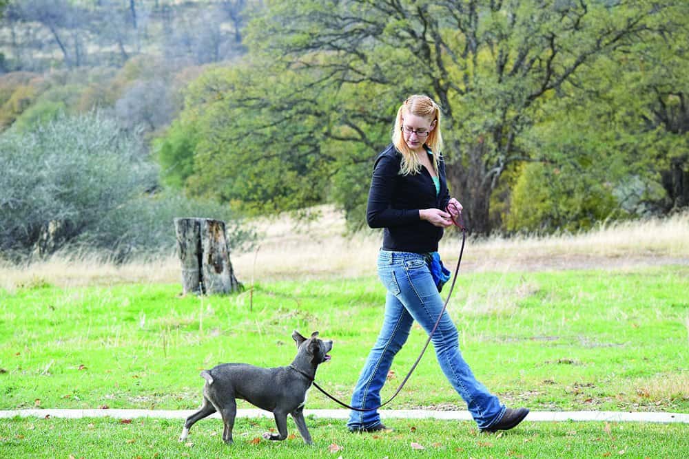 fearful dog training near me