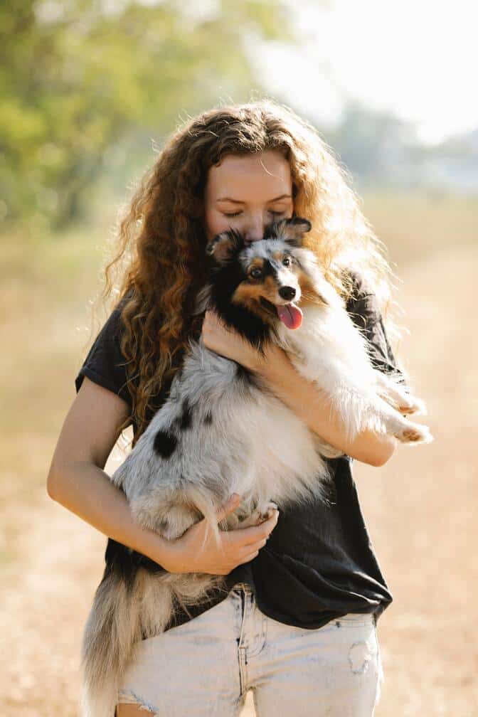 in home dog training day academy in home dog training day academy