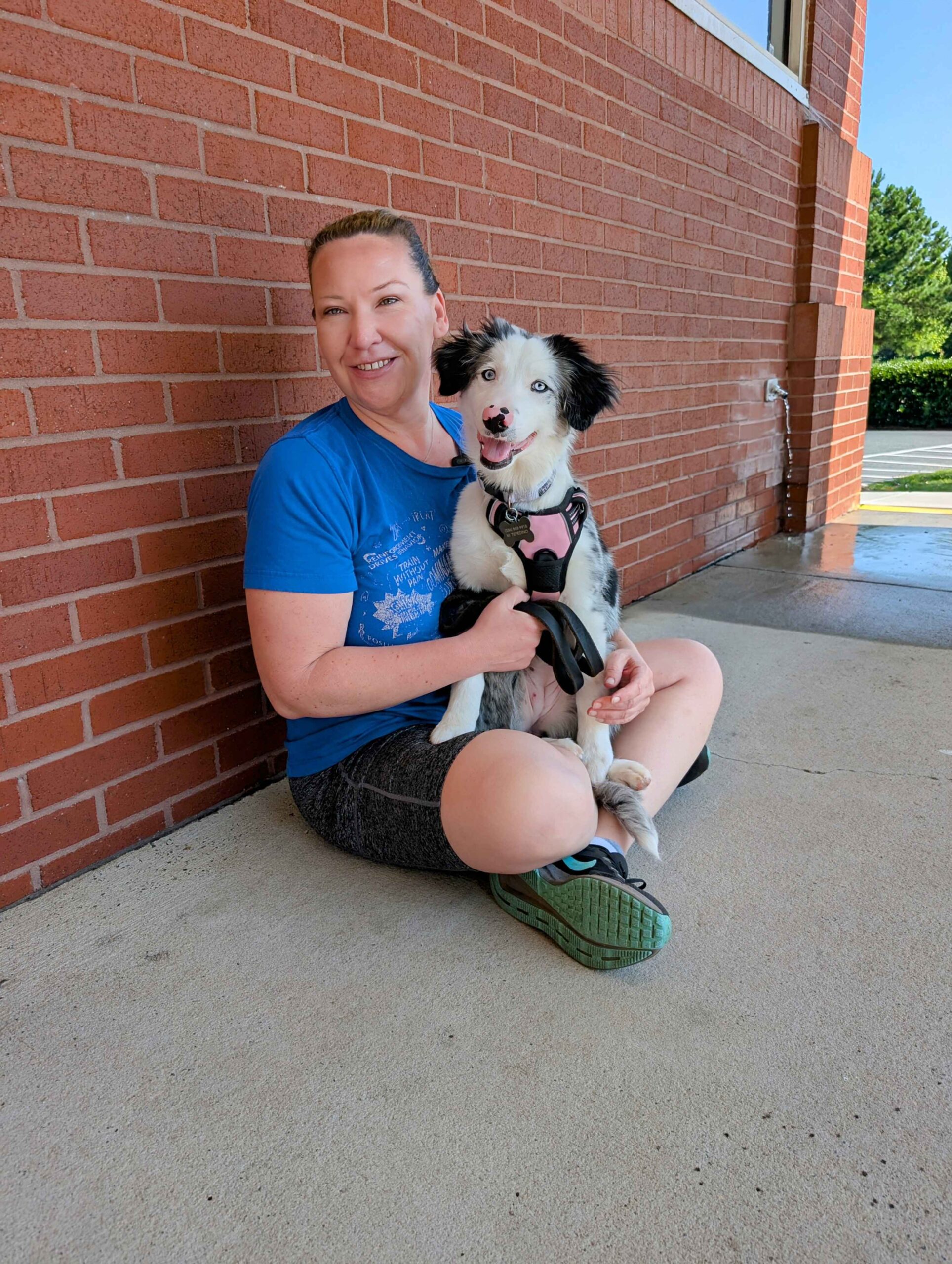dog trainer charlotte nc
