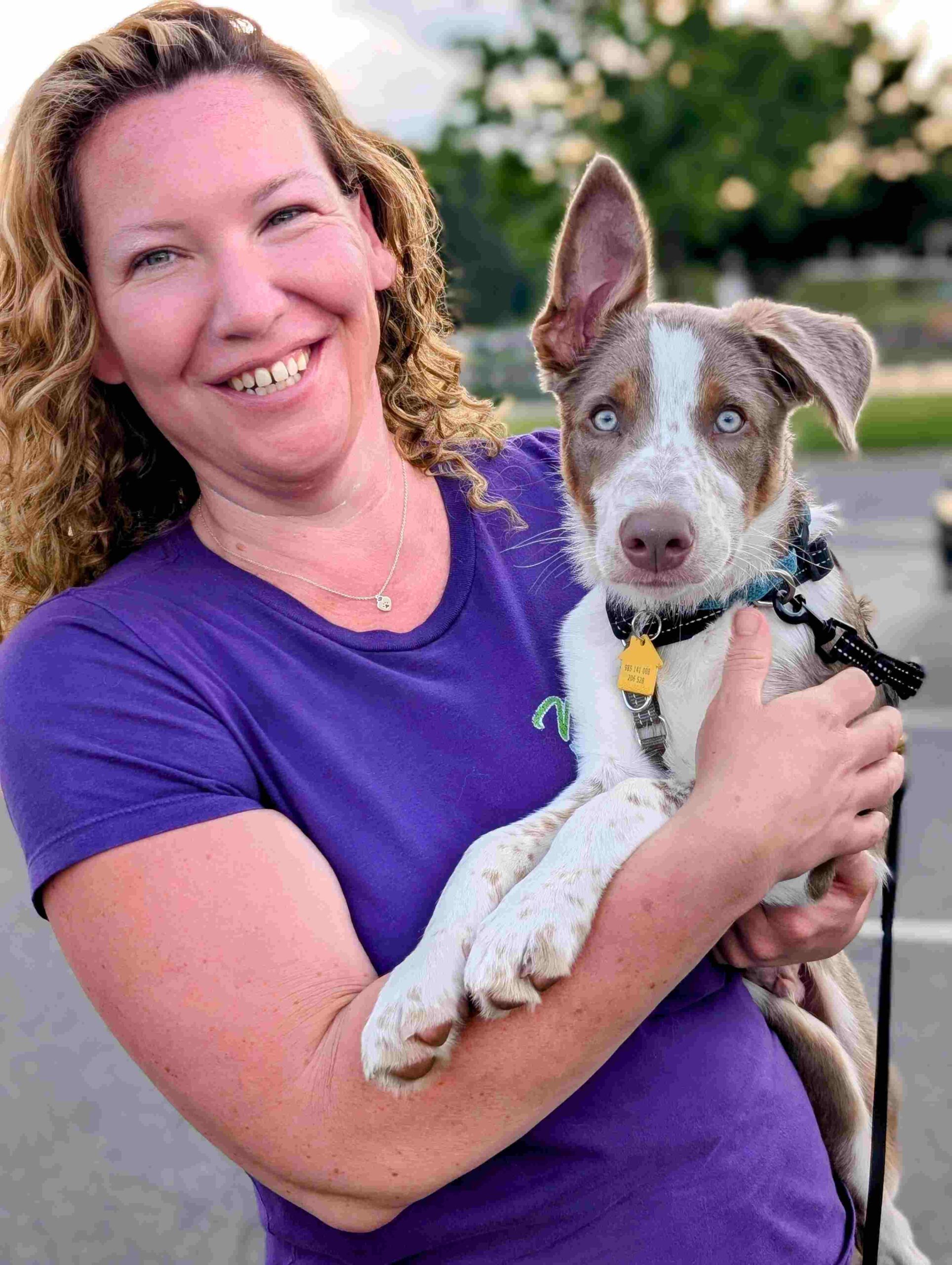 dog trainer near me dog trainer near me