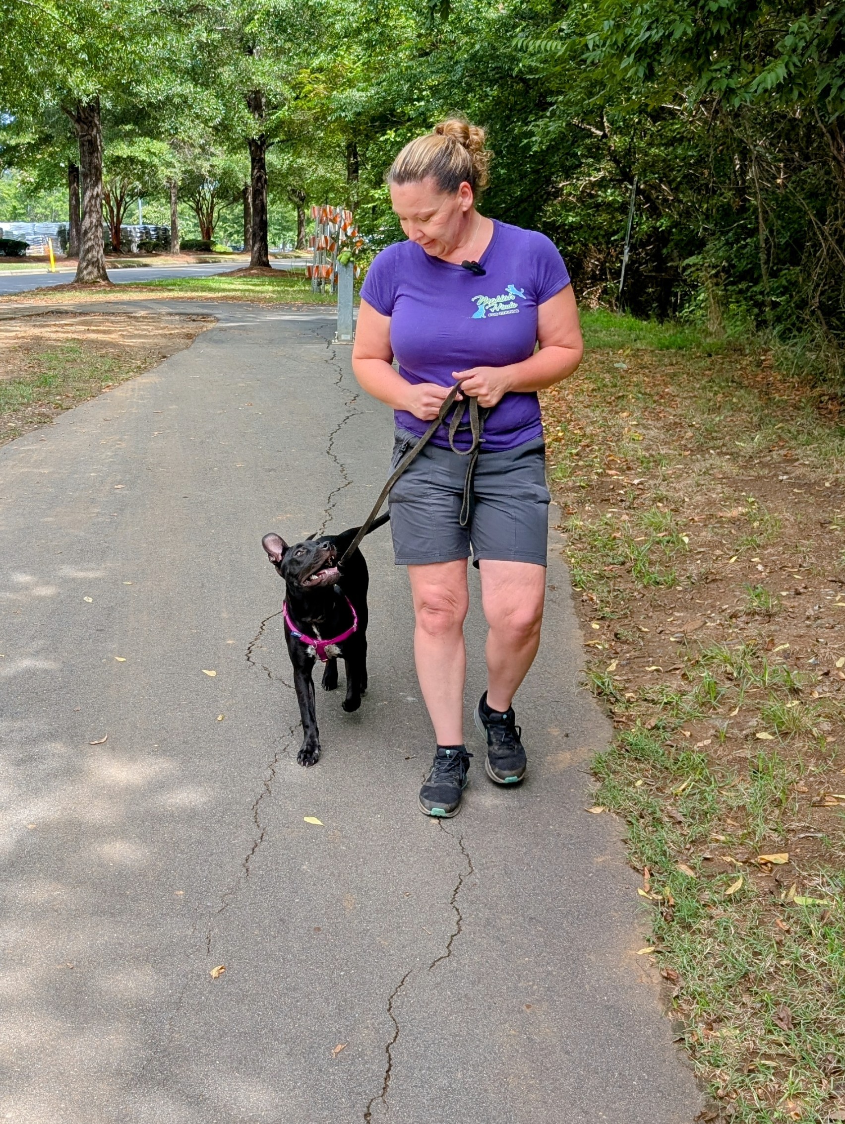 in home dog training